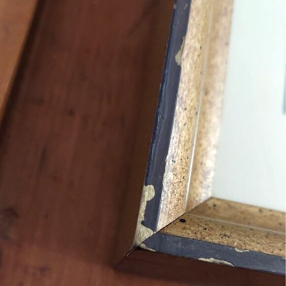 Framed John Gould Lithographs Hummingbird & Flowers Set Of 2 8x10 Vintage Birds - Picture 12 of 12